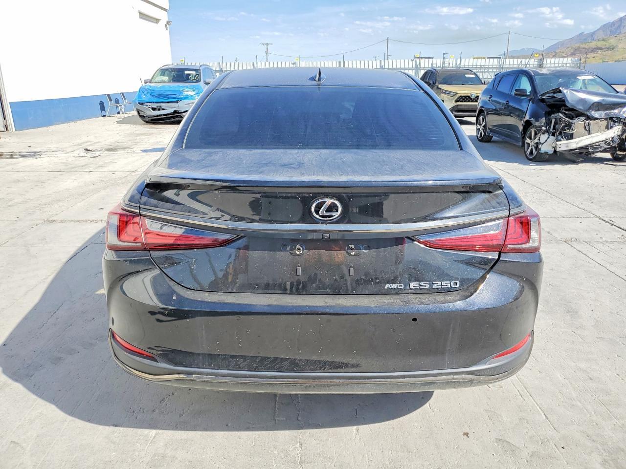 2022 Lexus #6