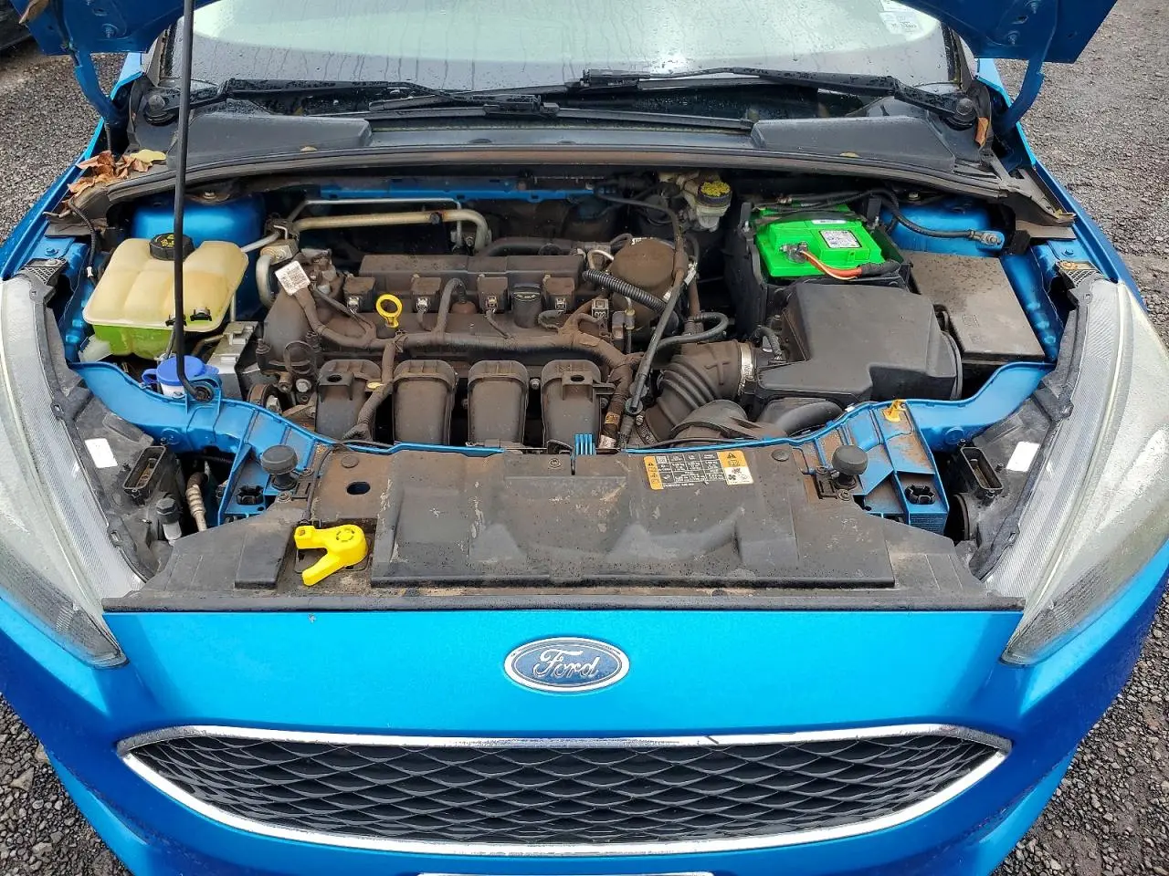 2016 Ford #11