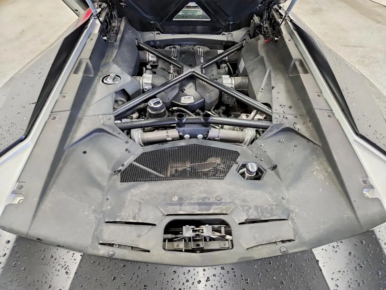 2018 Lamborghini #11