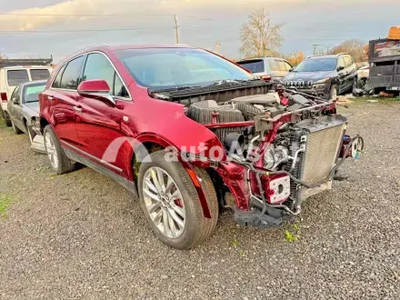 2019 Cadillac #1