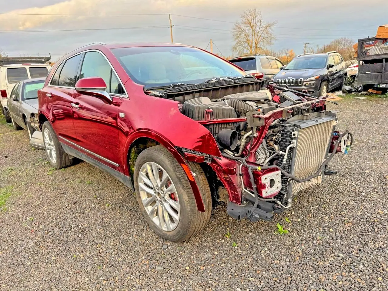2019 Cadillac #1