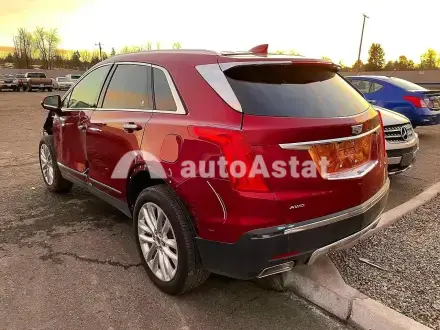 2019 Cadillac #3