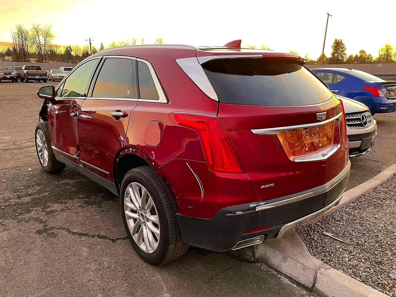 2019 Cadillac #3