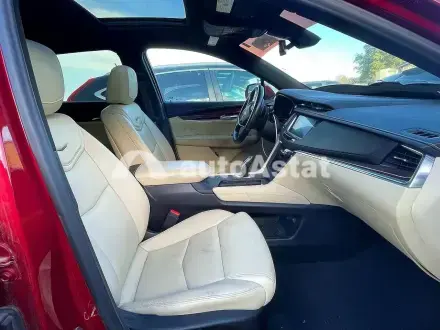2019 Cadillac #5