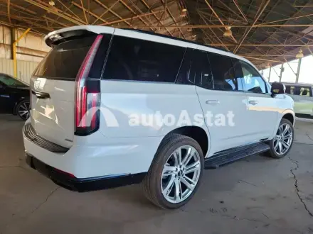 2025 Cadillac #3