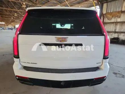 2025 Cadillac #6