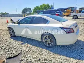 AutoAstat фото 2