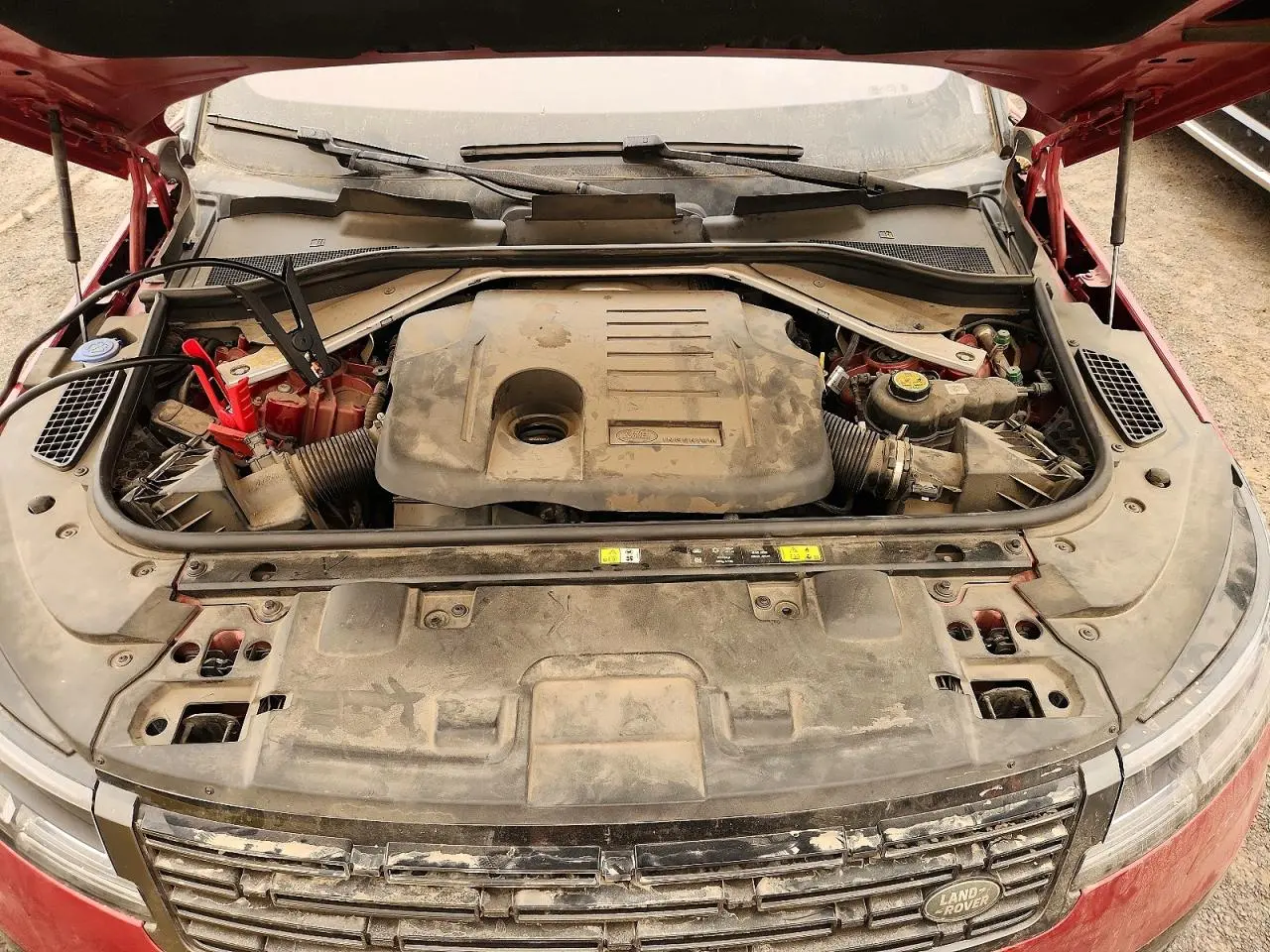2023 Land Rover #12