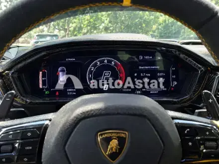 2024 Lamborghini #8