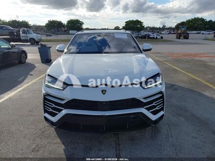 2022 Lamborghini #12
