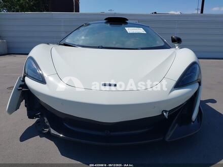 2019 McLaren #13
