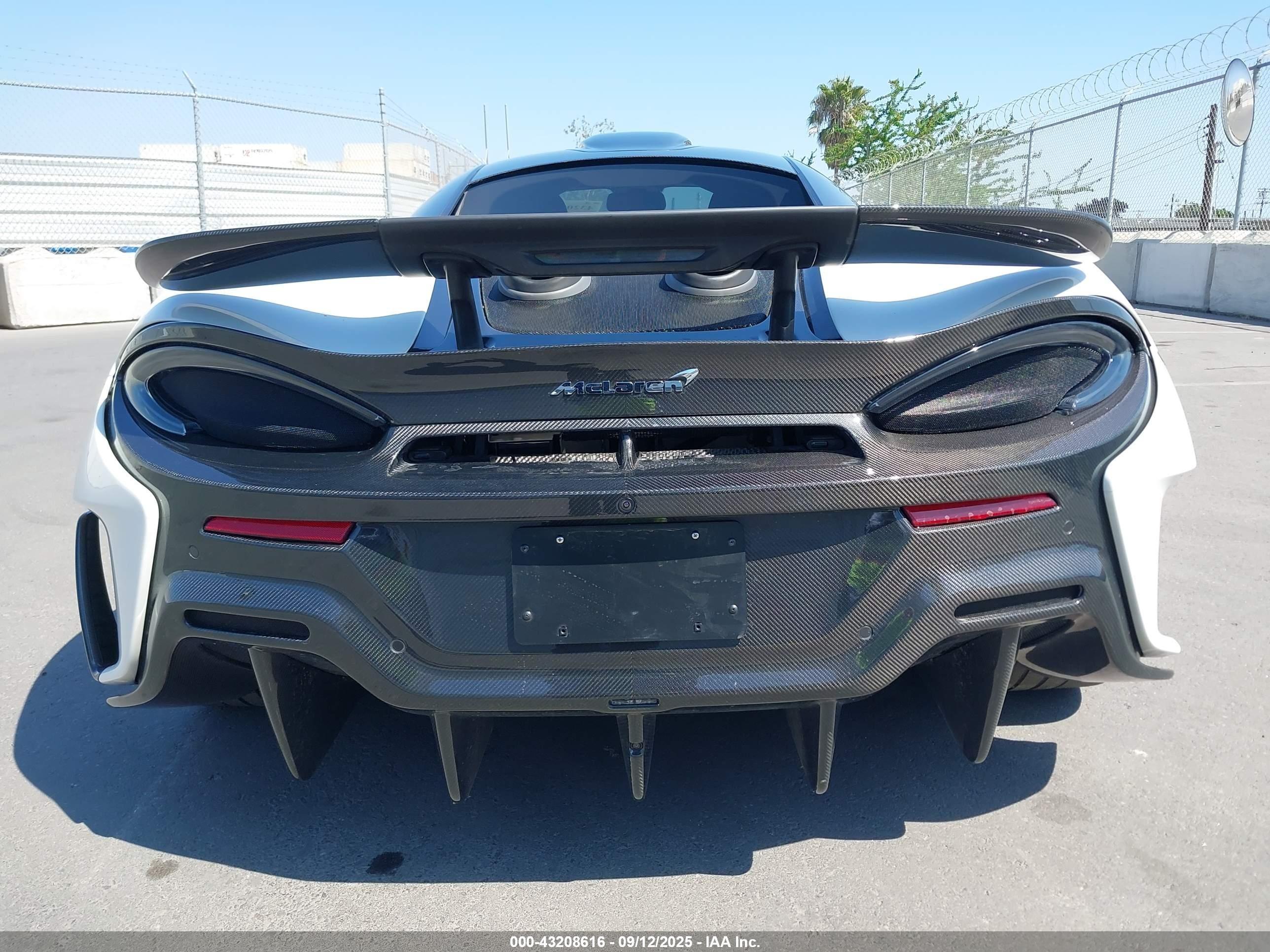 2019 McLaren #17