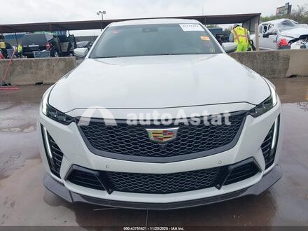 2023 Cadillac #6