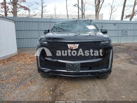 2024 Cadillac #12