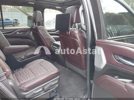 2024 Cadillac #8