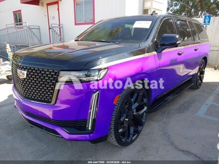 2023 Cadillac #2