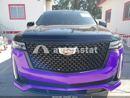2023 Cadillac #6
