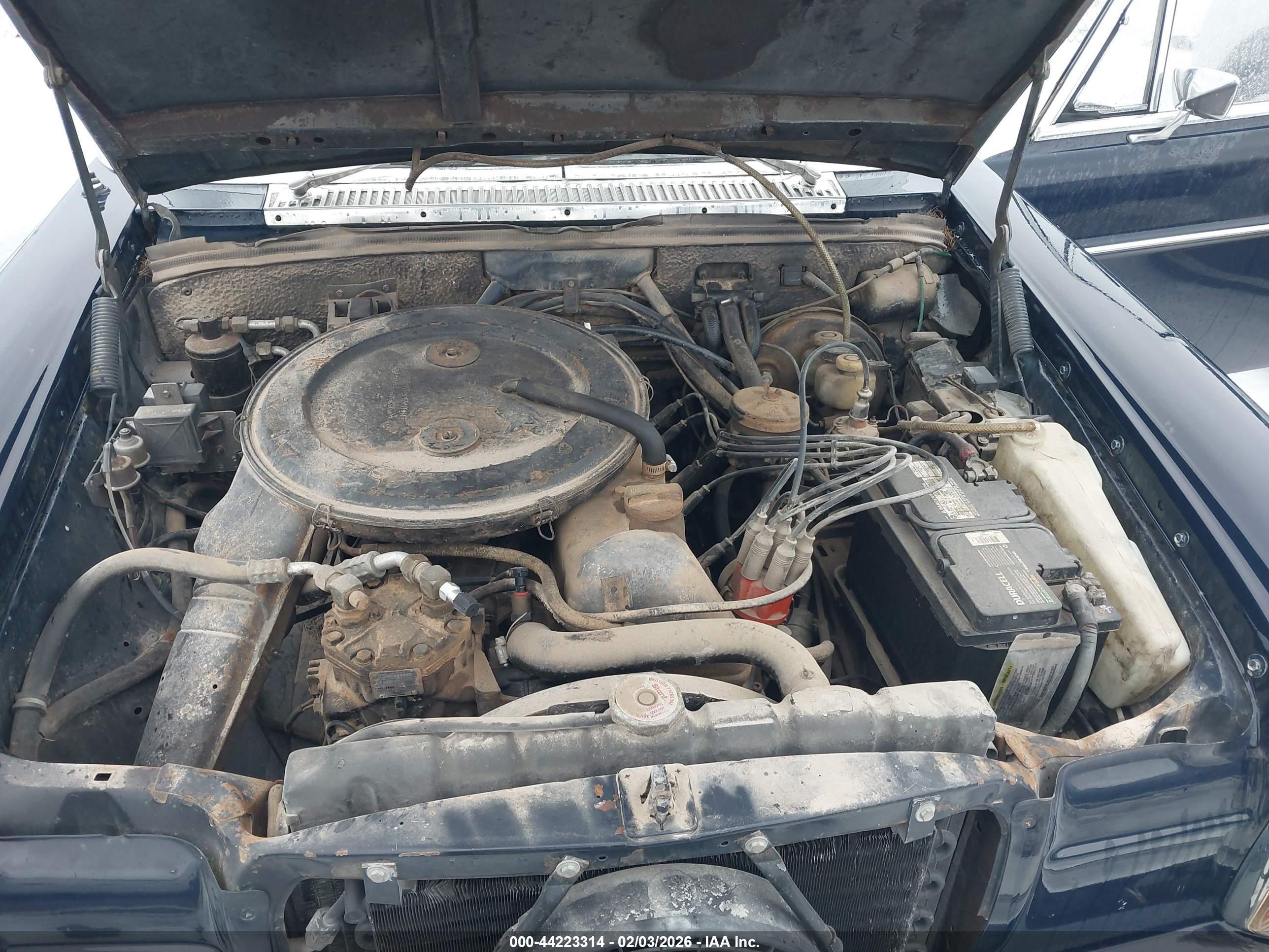 1972 Mercedes-Benz #10