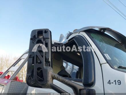 2019 Peterbilt #11