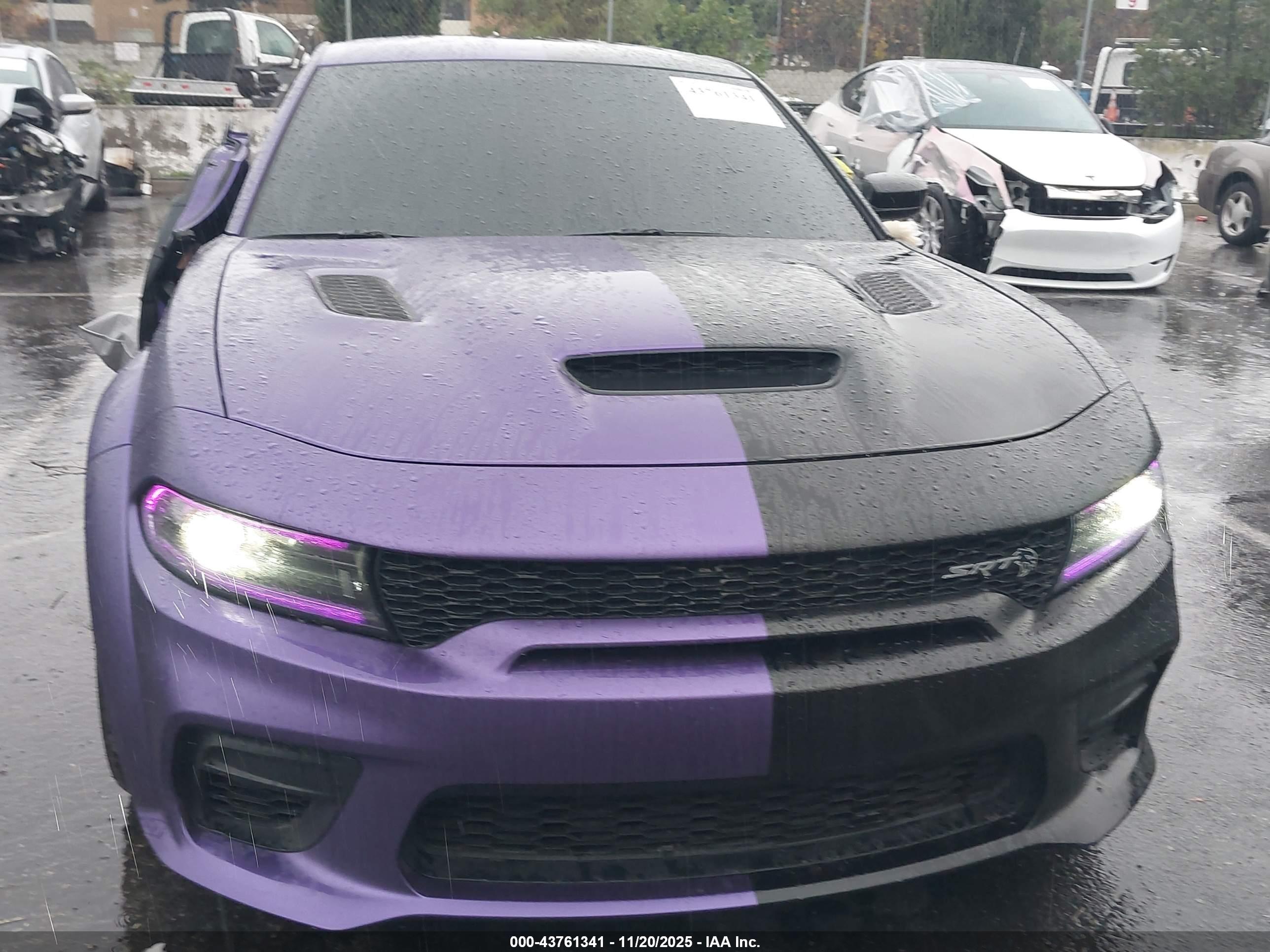 2023 Dodge #13