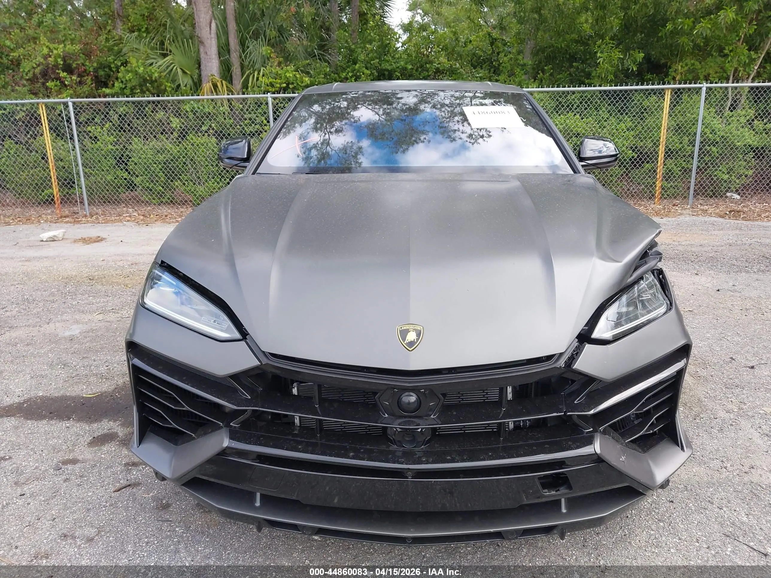 2025 Lamborghini #12