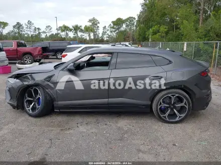 2025 Lamborghini #14
