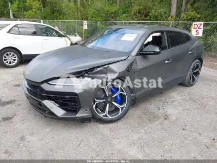 2025 Lamborghini #2