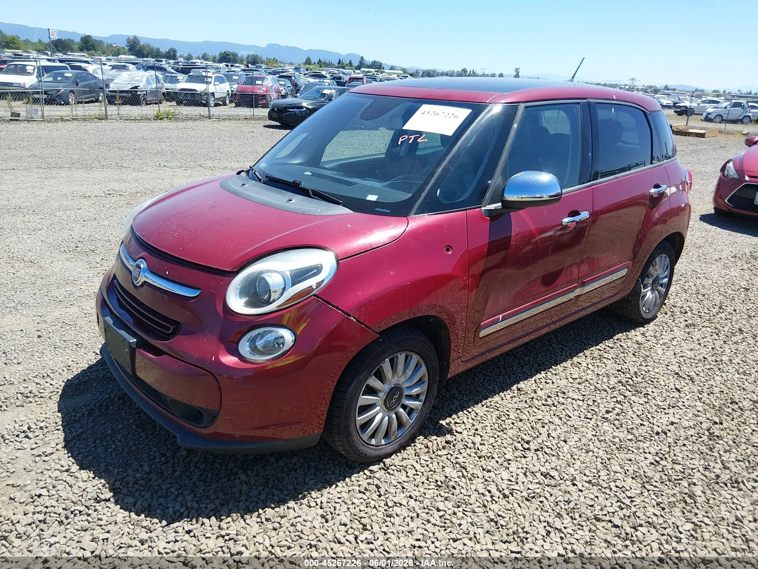 2015 Fiat #2