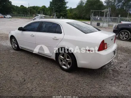 2009 Chevrolet #3