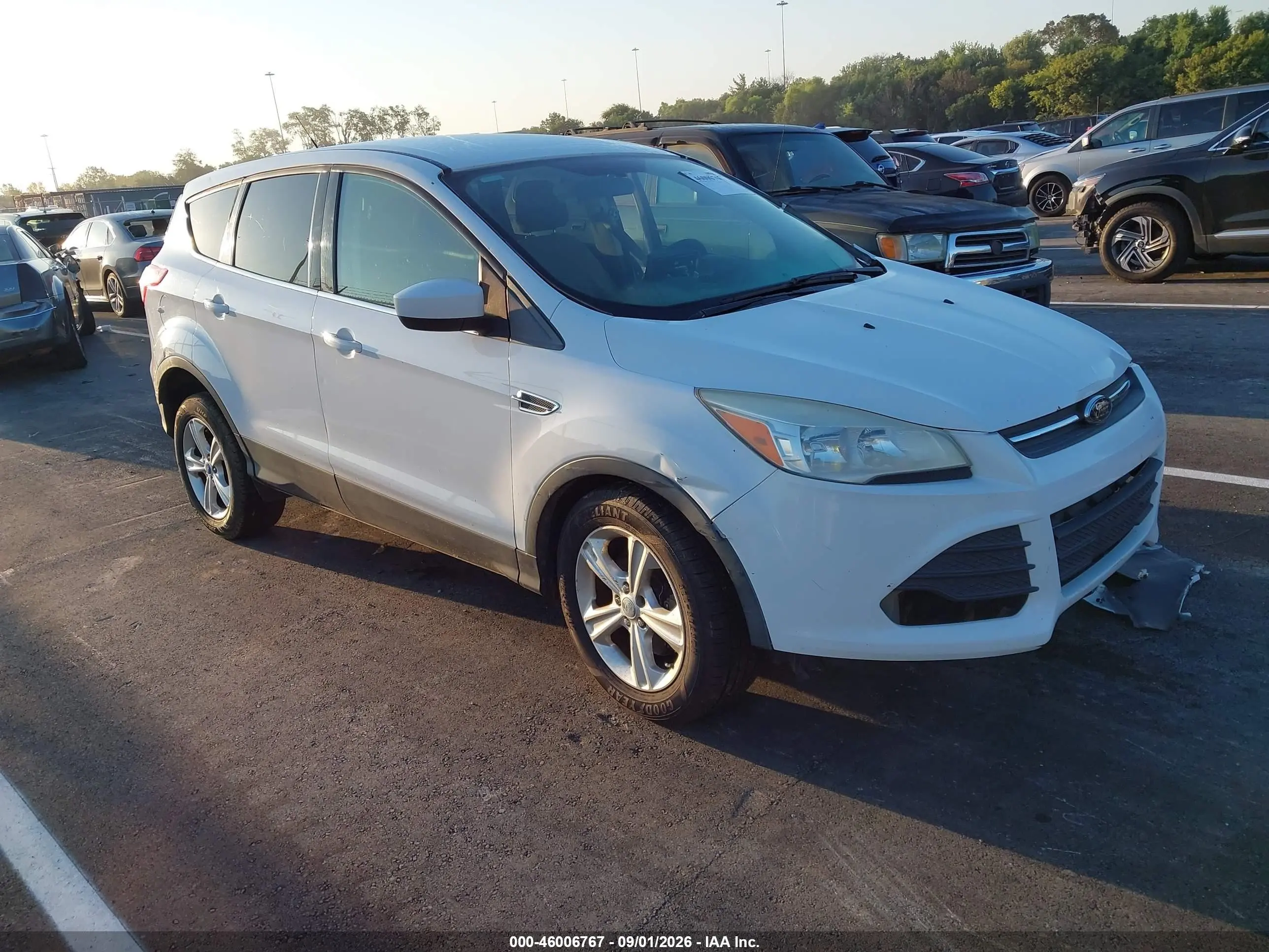 2013 Ford #1