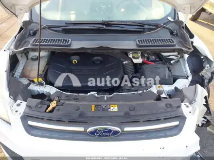 2013 Ford #10