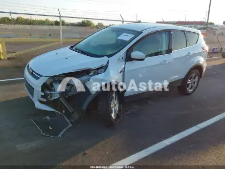 2013 Ford #2