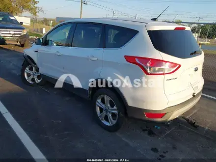 2013 Ford #3