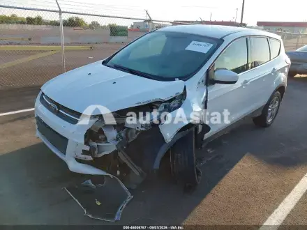 2013 Ford #6